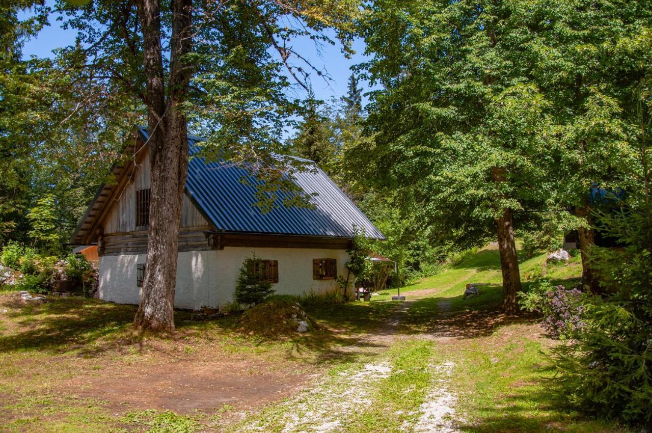 Boutique House Vresje Villa Bohinjska Bistrica Luaran gambar
