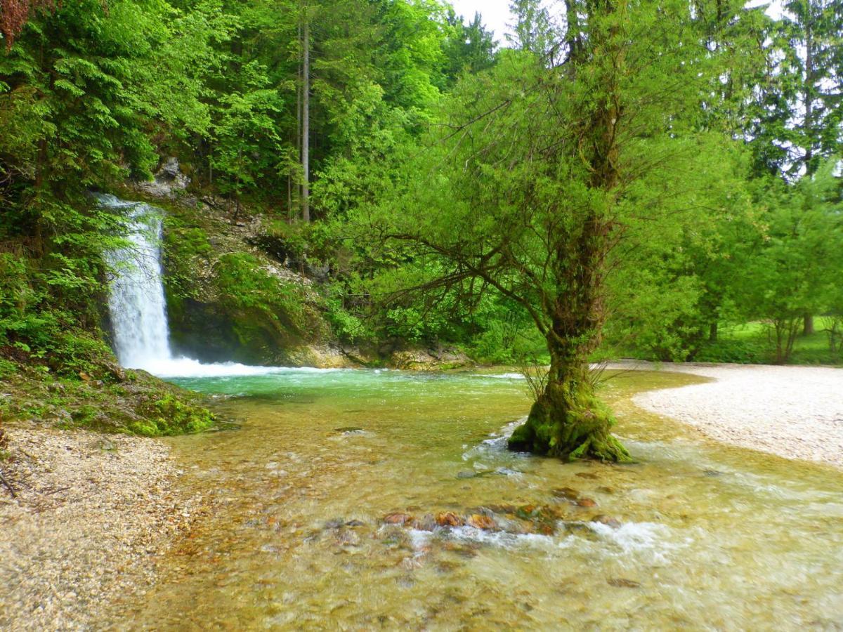 Boutique House Vresje Villa Bohinjska Bistrica Luaran gambar